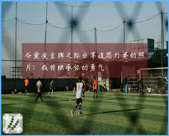 谷爱凌金牌之际分享追思外婆的照片：我将继承你的勇气