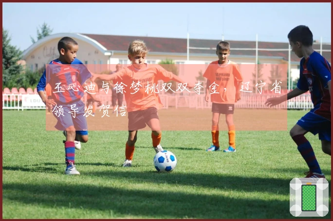 王心迪与徐梦桃双双夺金，辽宁省领导发贺信